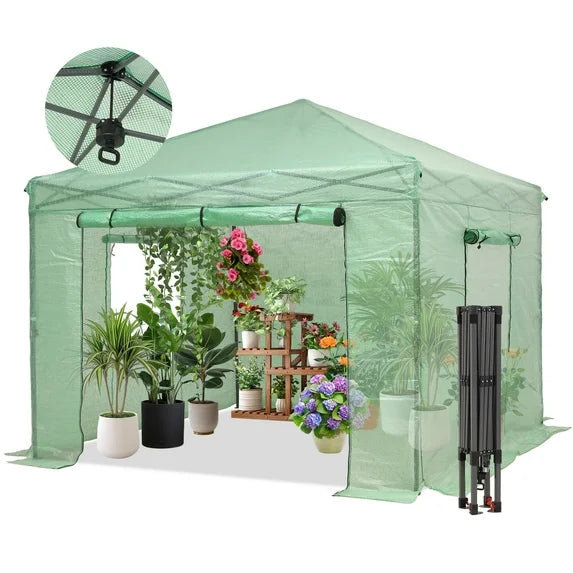 Walk Greenhouse Instant Pop Up House Outdoors Zippered Door Roll up Windows PE Cover Portable Easy Assemble