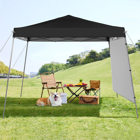 Ainfox 10X10 Pop Up Canopy, Slant Legs Instant Outdoor Canopy Tent with 1 Sidewall, Portable Patio Garden Deck Gazebo Shelter - 10x10 Base 8x8 Top